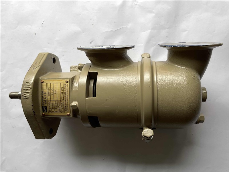 6CT8.3 Sea water pump 3900176